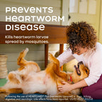 HEARTGARD Plus (ivermectin/pyrantel) Real-Beef Chewables for Dogs 51 -100 lbs (Brown Box) 12 Month Supply of Chews (Pack of 12)