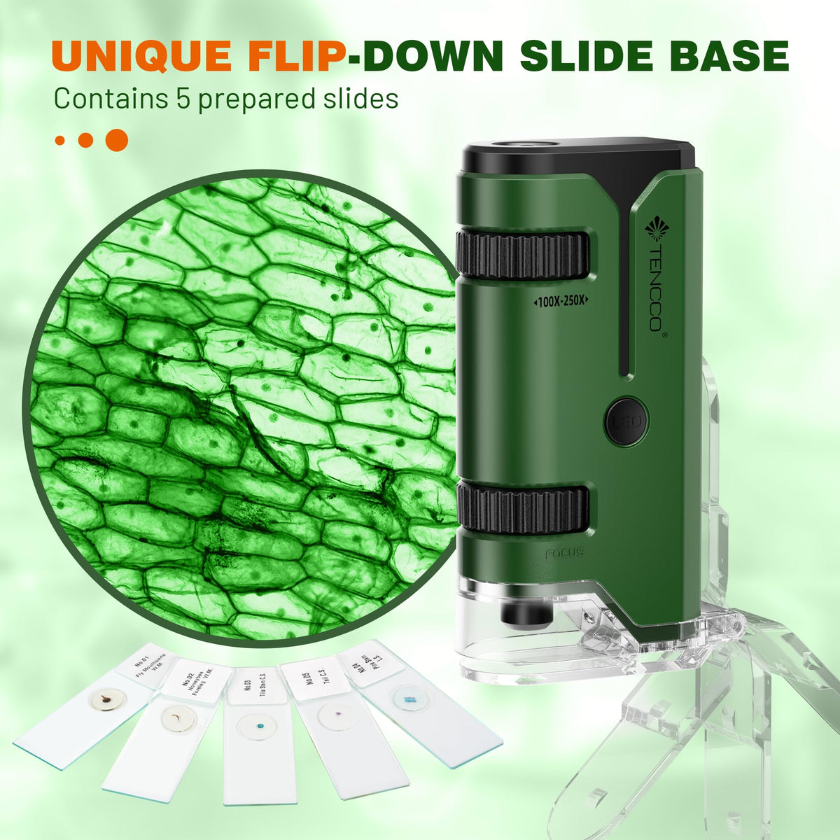 100x-250x Mini Pocket Microscope for Kids Adults - Green view 3