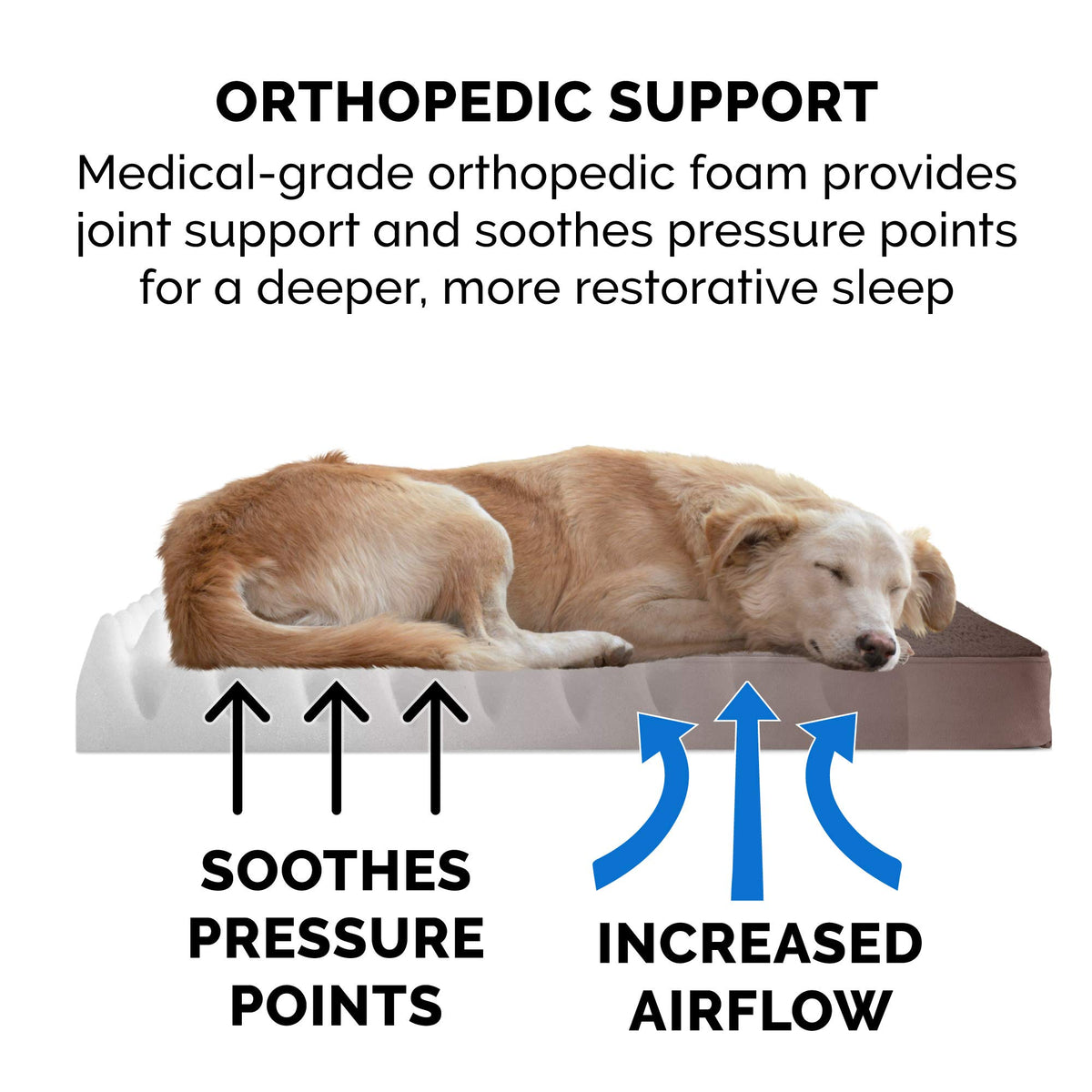 Furhaven Orthopedic Dog Bed - Espresso / Large view 4