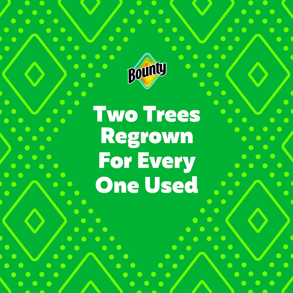 Bounty Select-A-Size Paper Towels