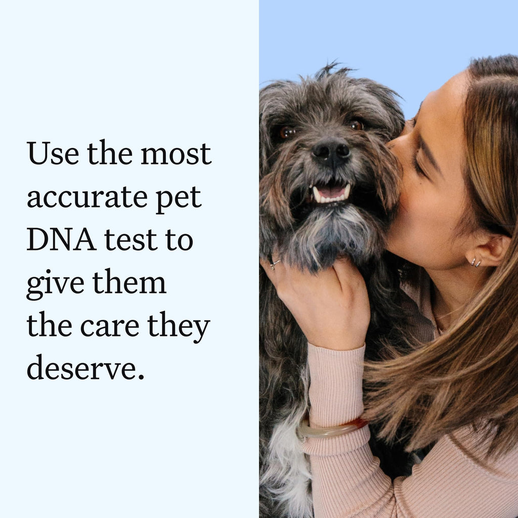 Wisdom Panel Essential Dog DNA Test, 430+ Breeds, 30 Health Tests