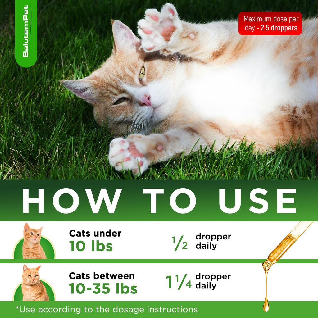 Cat Antibiotic for Infections, UTIs, Respiratory Moments, Cold, & Allergies | Antibiotics (additional view 4)