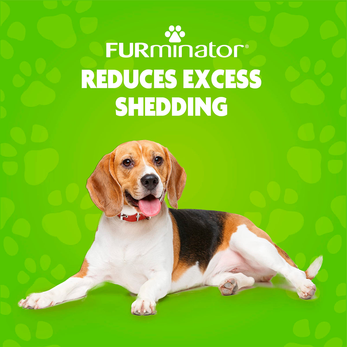 FURminator deShedding Kit, deShedding Shampoo, deShedding Conditioner, deShedding (additional view 6)