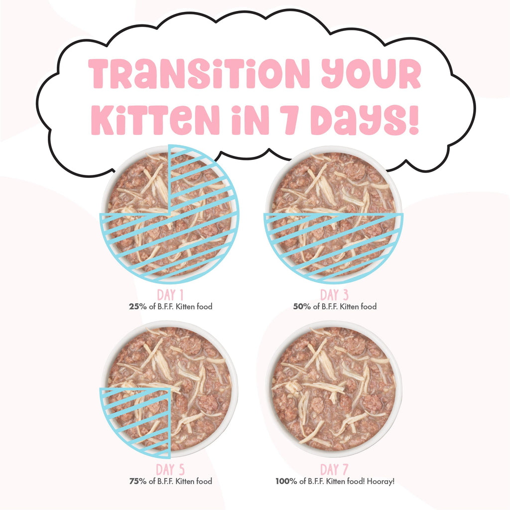 Weruva B.F.F. Kitten Wet Food