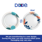 Dixie Paper Plates, – Large 10 Inch (Pack of 3)