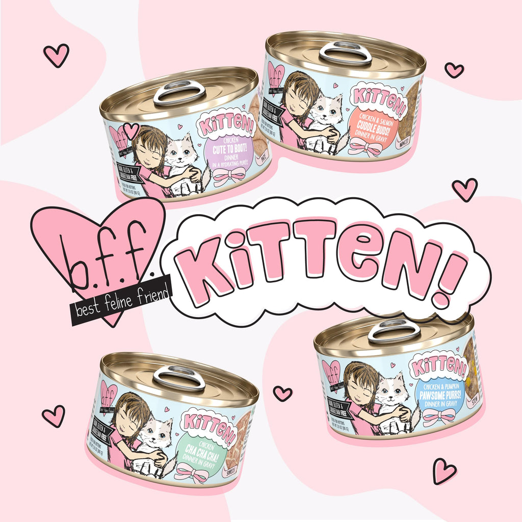 Weruva B.F.F. Kitten Wet Food
