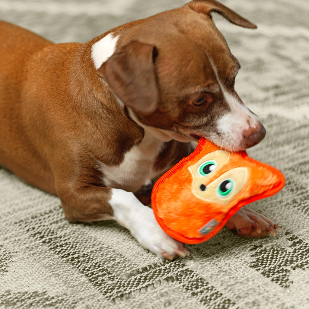Outward Hound Durablez Minis Tough Chew Plush Squeaky Dog Toy, Fox, 6.3" (additional view 4)