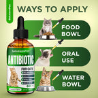 Cat Antibiotic for Infections, UTIs, Respiratory Moments, Cold, & Allergies | Antibiotics (additional view 5)