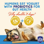 Himalayan Dog Chew Yogurt Sticks, Probiotic Dog Treats, Original, 5 Treats (521131)