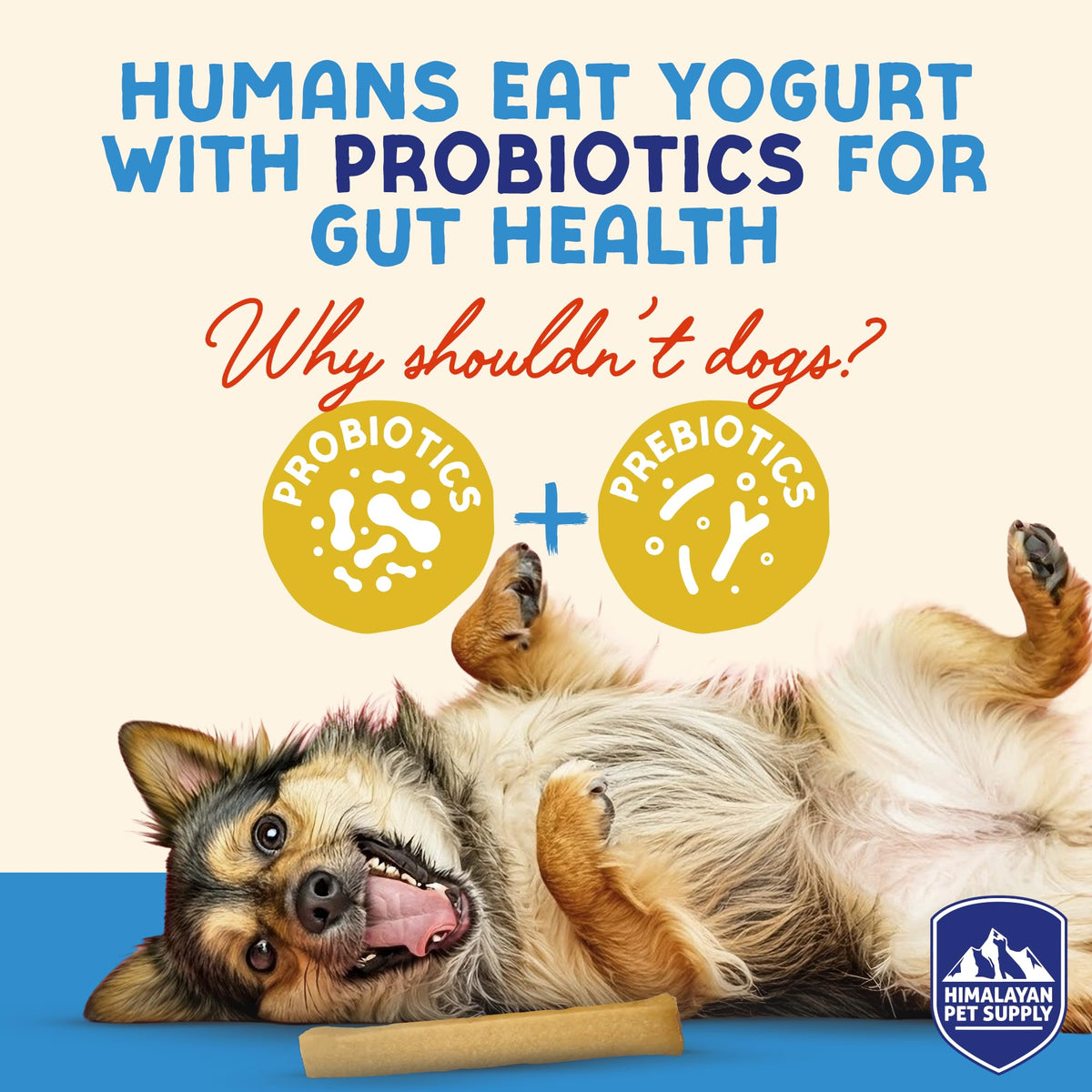Himalayan Dog Chew Yogurt Sticks, Probiotic Dog Treats, Original, 5 Treats (521131)