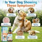 Carmelie Yeast Infection Treatment for Dogs, Ear Paw Itch Discomfort Care (additional view 1)