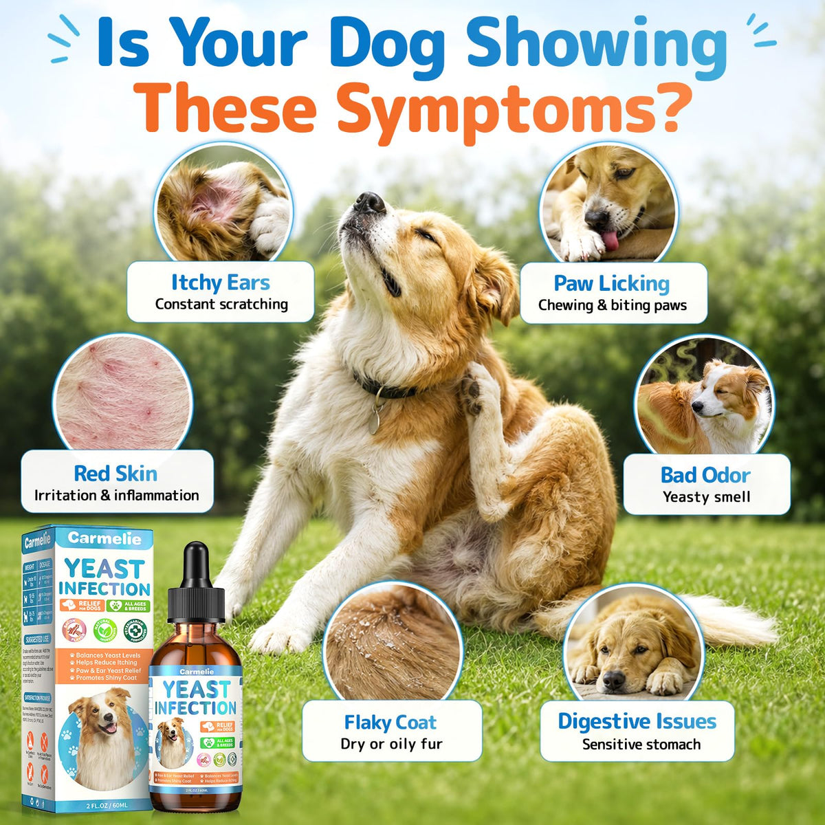 Carmelie Yeast Infection Treatment for Dogs, Ear Paw Itch Discomfort Care (additional view 1)
