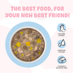 Weruva B.F.F. Kitten Wet Food