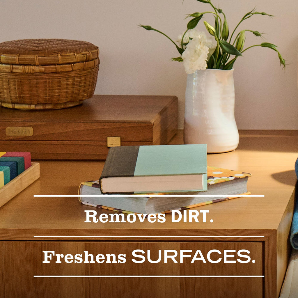 Mrs. MEYER'S CLEAN DAY Multi-Surface