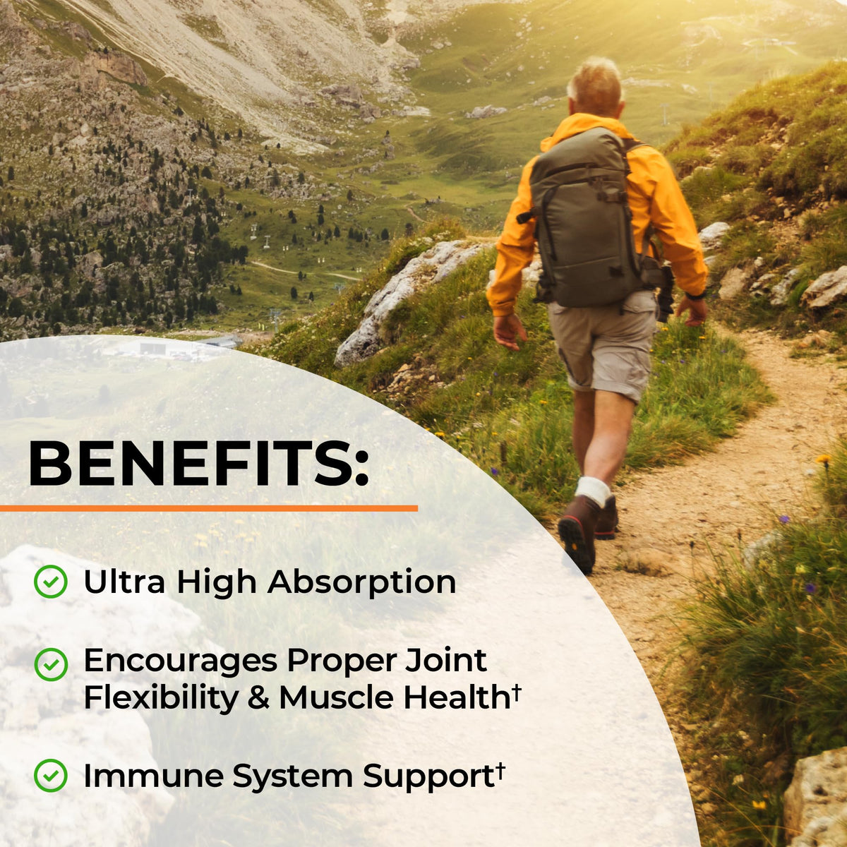 Turmeric Curcumin with Black Pepper Extract 1500mg