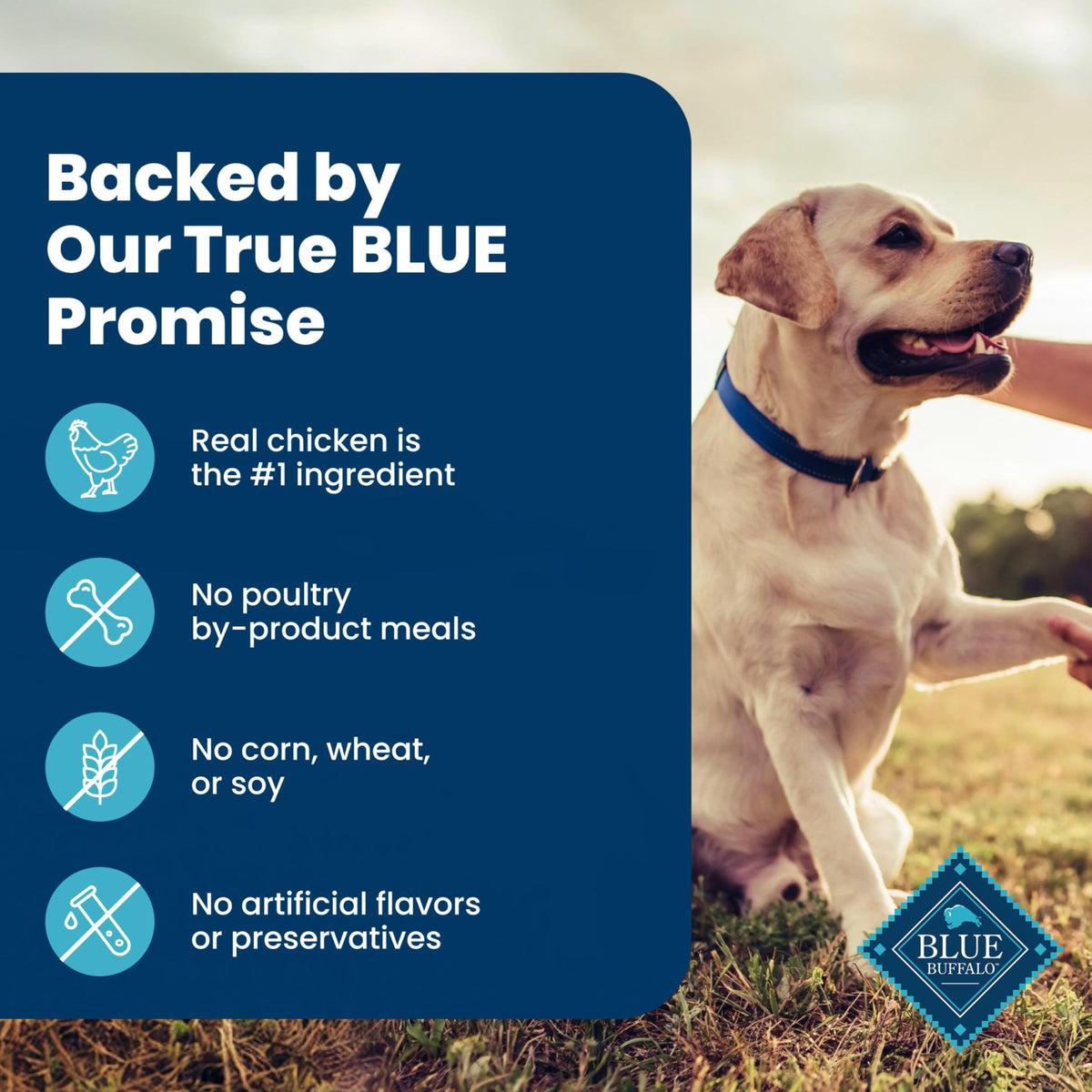 Blue Buffalo Homestyle Recipe Senior Wet Dog Food