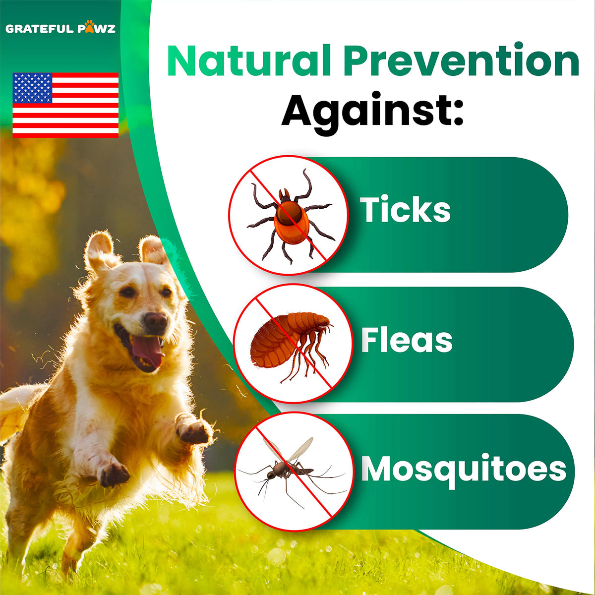 Flea and Tick Prevention for Dogs Chewables, Oral Flea and Tick Control (additional view 1)