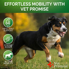 Vet Promise Glucosamine for Dogs - Hip and Joint Supplement for Dogs, Chondroitin & MSM (MN)