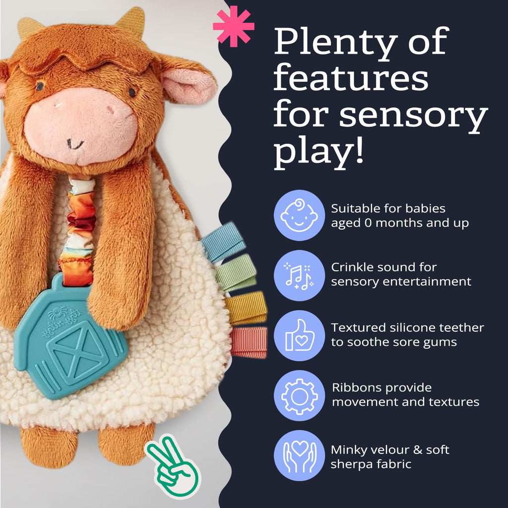 Itzy Ritzy Lovey Including Teether, Teething Relief