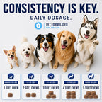 Vet Promise Probiotics for Dogs - Dog Probiotics with Digestive Enzymes, Soft Chews (PRBVP-70)