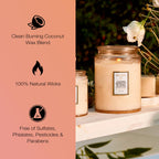 Voluspa Large Scented Candle Jar 18 Oz, 100 Hr Burn - 8 - Jasmine Midnight Blooms view 3