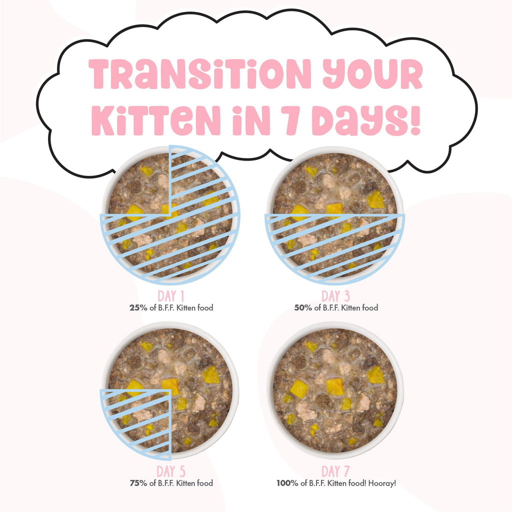 Weruva B.F.F. Kitten Wet Food