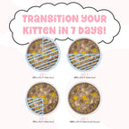 Weruva B.F.F. Kitten Wet Food