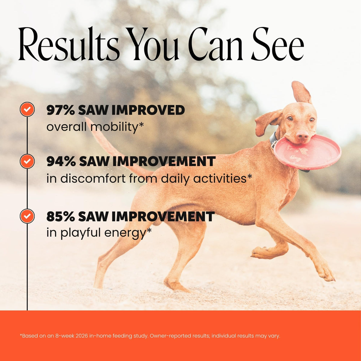 Pet Honesty Vet Recommended Hip and Joint Supplement for Dogs, – 90 Count (DEXB-JS-1219-335) (Pack of 90)