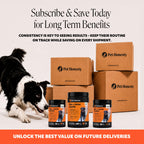 Pet Honesty Vet Recommended Hip and Joint Supplement for Dogs, – 90 Count (DEXB-JS-1219-335) (Pack of 90)