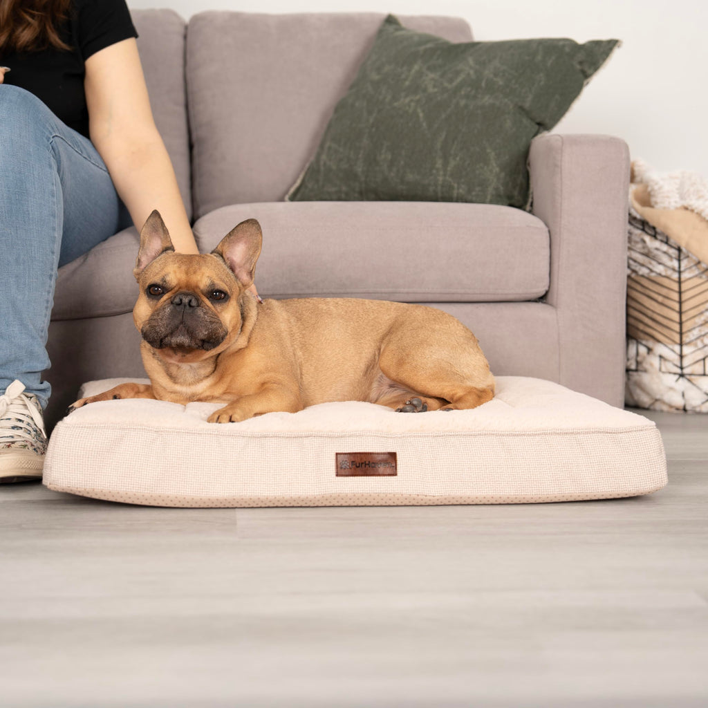 Furhaven Orthopedic Dog Bed - Wheat / Medium view 1