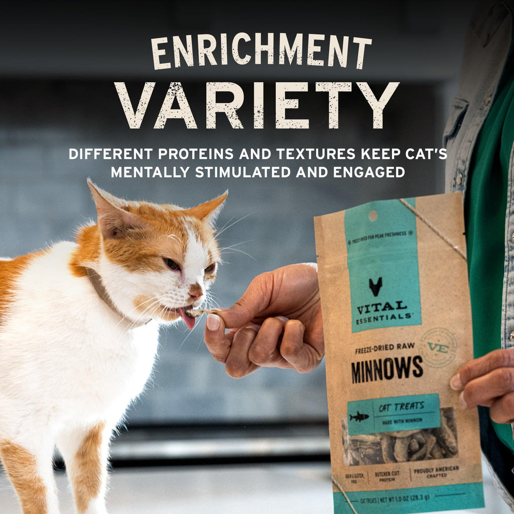 Vital Essentials Freeze Dried Raw Chicken Hearts Cat Treats, 0.8 oz Bag (9403)