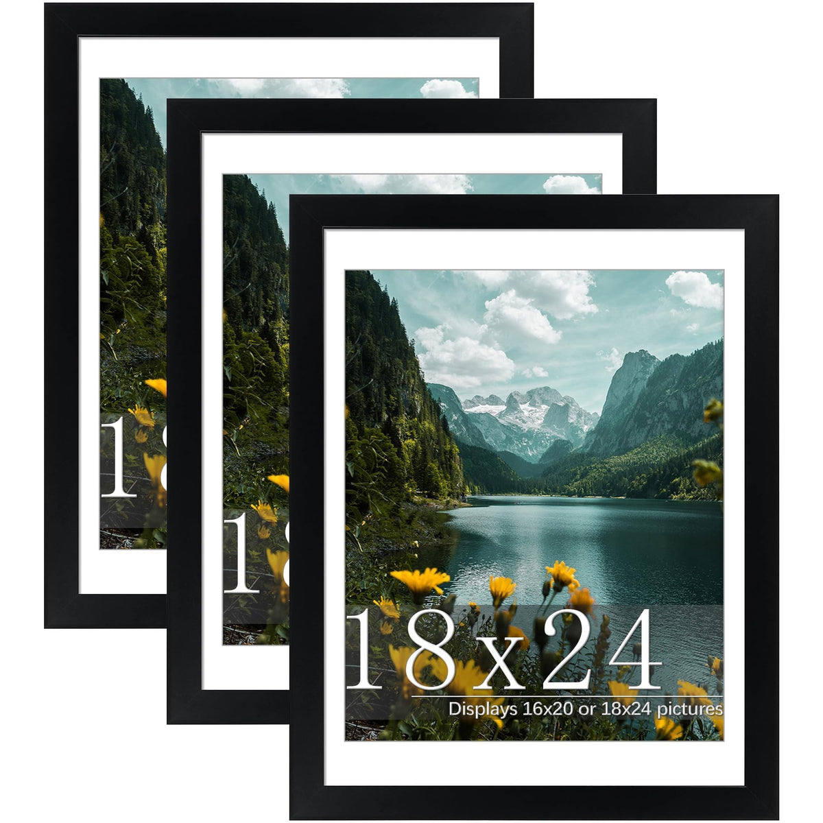 Picrit Poster Frame, Picture Frame for Wall, 3 Pack - Black / 18x24 (3 Pack)