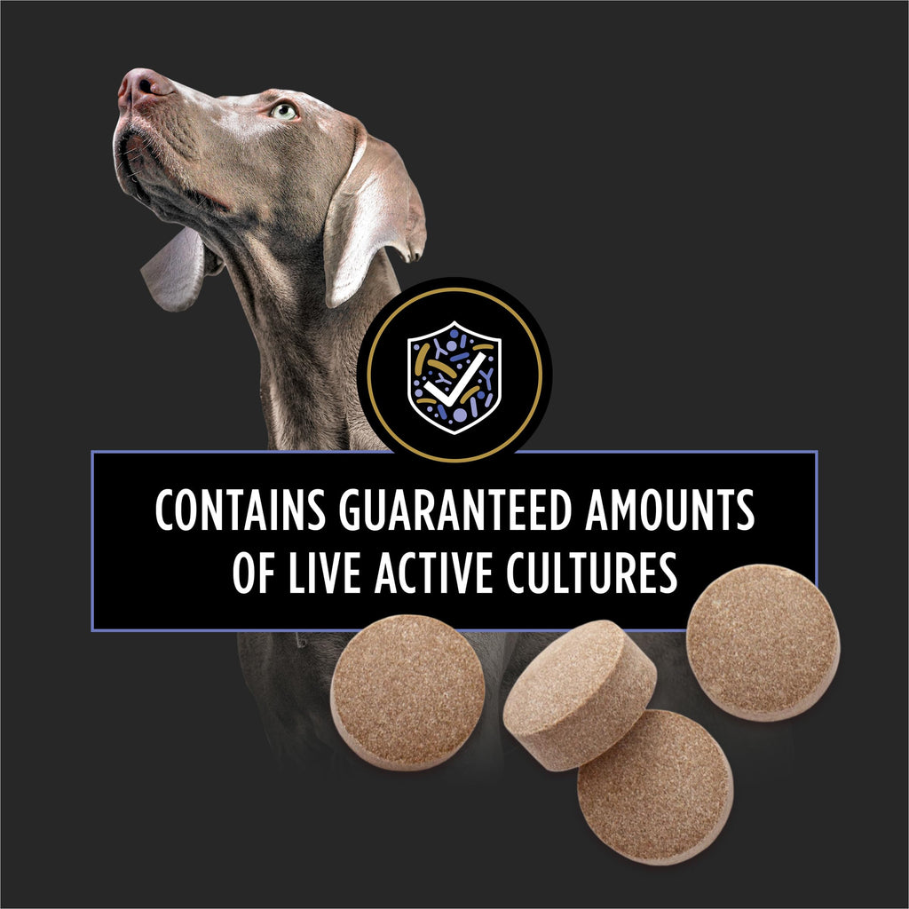 Pro Plan Veterinary Diets Purina Pro Plan Vet Supplements FortiFlora Dog Probiotic Tablets, – 90 ct