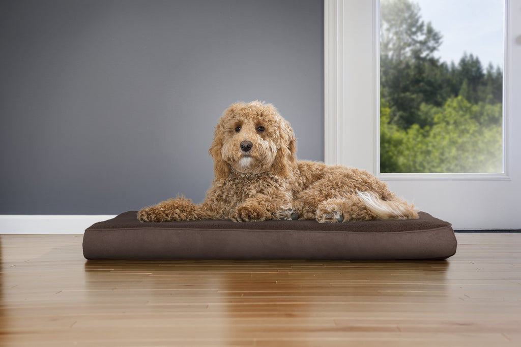 Furhaven Orthopedic Dog Bed - Espresso / Large view 2