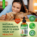 Cat Antibiotic for Infections, UTIs, Respiratory Moments, Cold, & Allergies | Antibiotics (additional view 7)