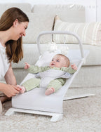 Baby Delight Alpine Deluxe Portable Bouncer