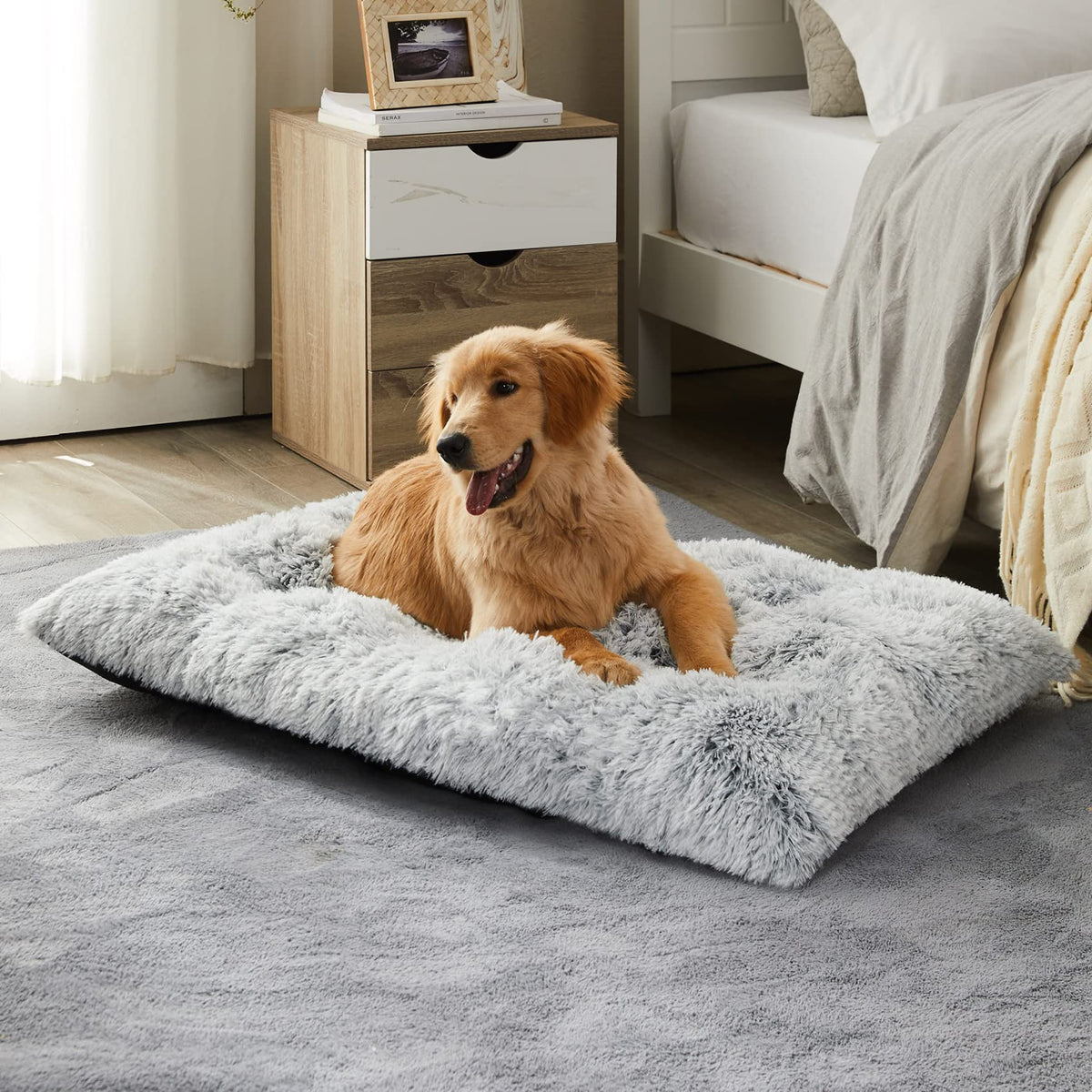 BFPETHOME Beds for Large Dogs - Grey / S(23x18 inch)