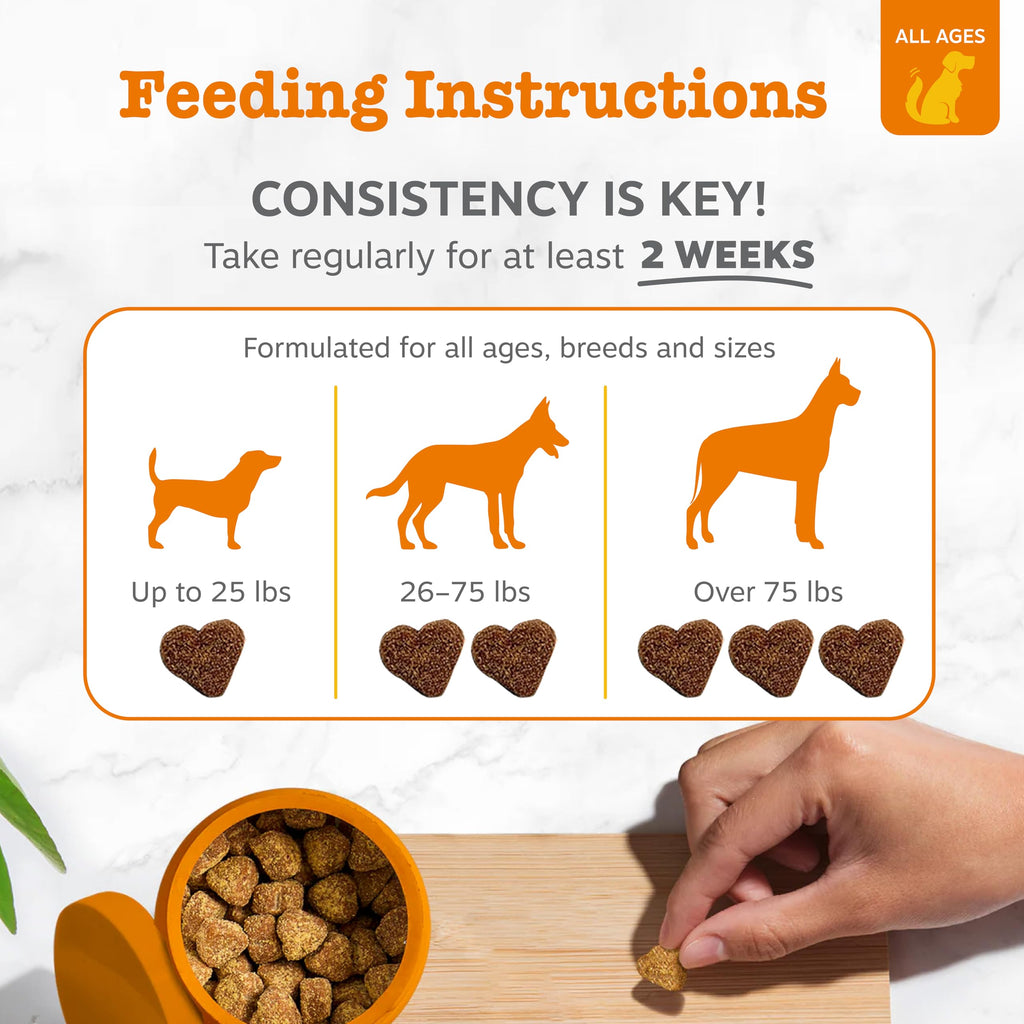 Zesty Paws Hip and Joint Supplement for Dogs