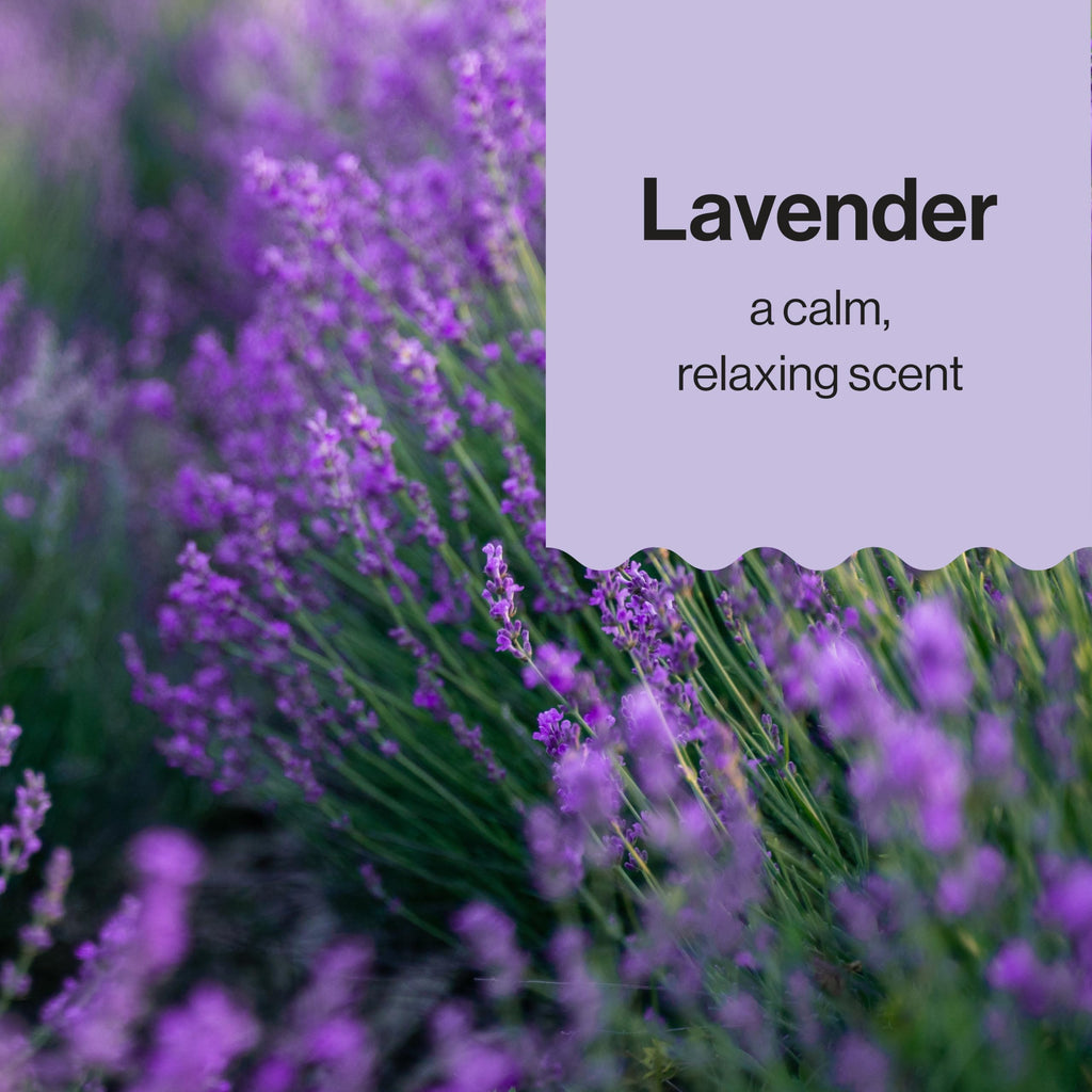 The Honest Company Shampoo & Body Wash - Lavender / 10 Fl Oz (Pack of 1) view 5
