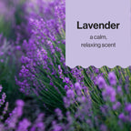 The Honest Company Shampoo & Body Wash - Lavender / 10 Fl Oz (Pack of 1) view 5