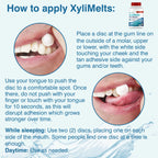 Oracoat XyliMelts for Dry Mouth Night Time or Day - Cinnamon / 100 Count (Pack of 1) view 1