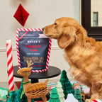 Bocce's Bakery Sweet Flavor Profile Soft & Chewy Cookie Treats for Dogs