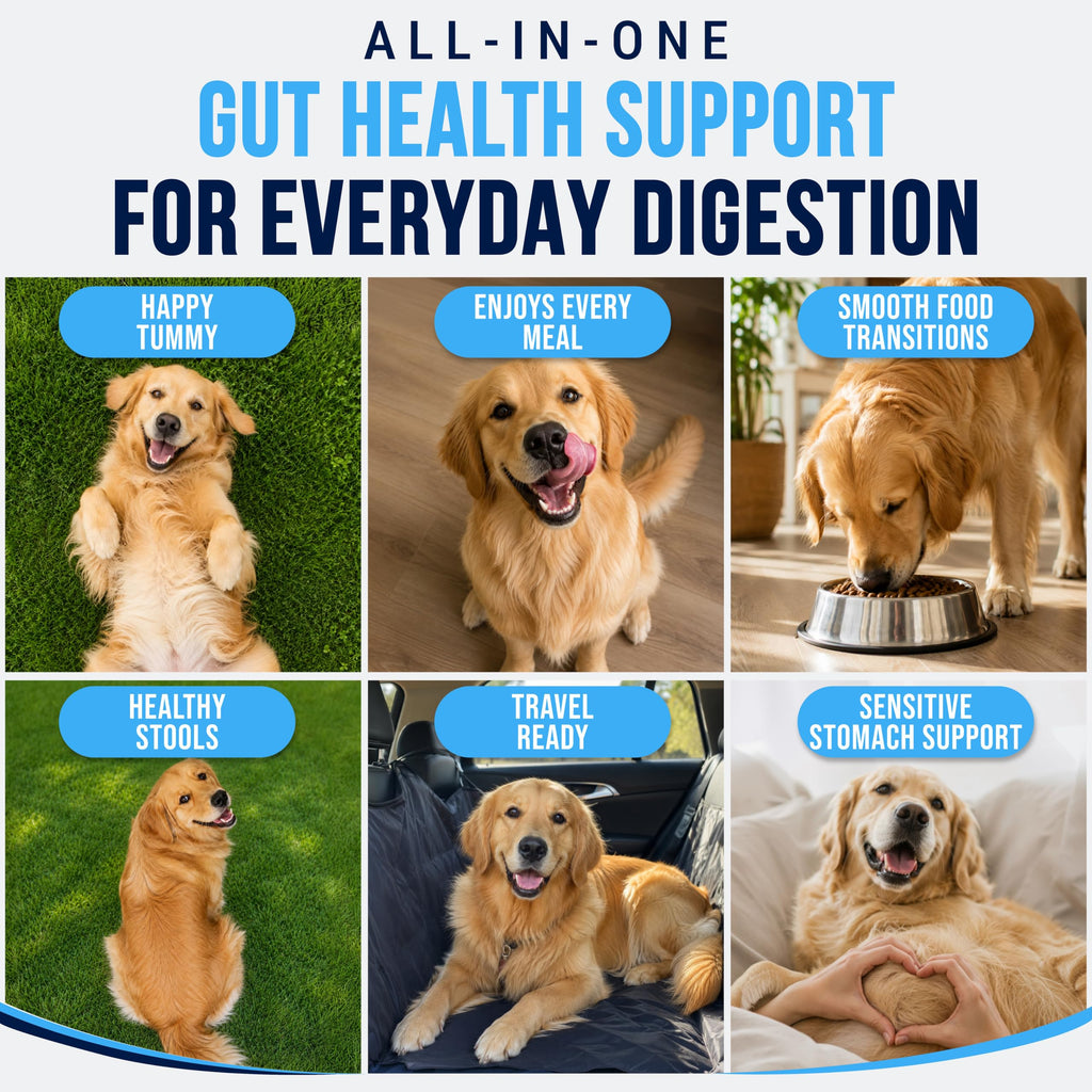 Vet Promise Probiotics for Dogs - Dog Probiotics with Digestive Enzymes, Soft Chews (PRBVP-70)