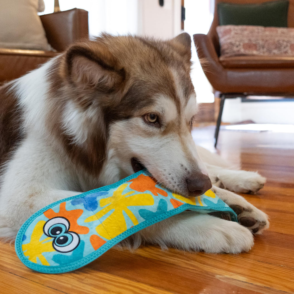 Outward Hound Tough Skinz Durable Squeaky Dog Toy with Two Tough Layers, Snake, Blue (additional view 5)