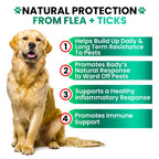 Flea and Tick Prevention for Dogs Chewables, Oral Flea and Tick Control (additional view 3)