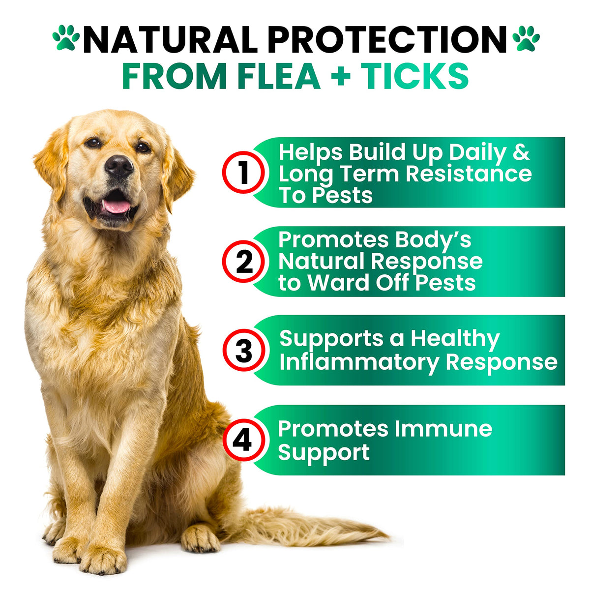 Flea and Tick Prevention for Dogs Chewables, Oral Flea and Tick Control (additional view 3)