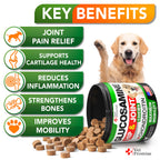 Vet Promise Glucosamine for Dogs - Hip and Joint Supplement for Dogs, Chondroitin & MSM (MN)