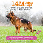 Zesty Paws Hip and Joint Supplement for Dogs