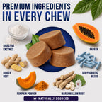Vet Promise Probiotics for Dogs - Dog Probiotics with Digestive Enzymes, Soft Chews (PRBVP-70)