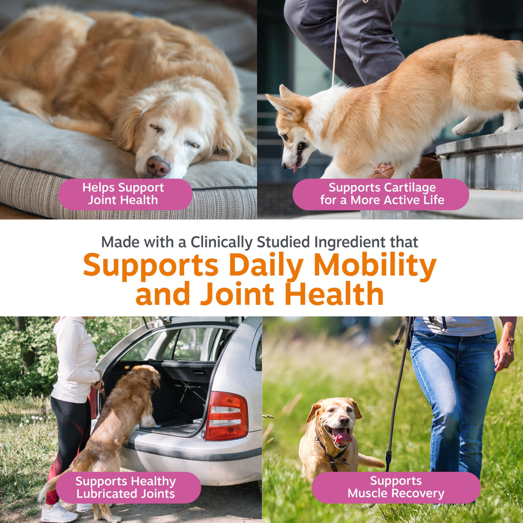 Zesty Paws Hip and Joint Supplement for Dogs